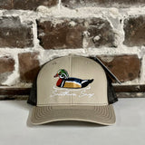 Southern Snap Swimming Duck
